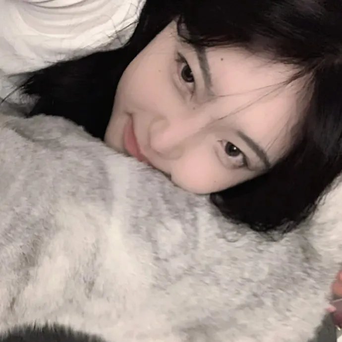 鲨人树儿